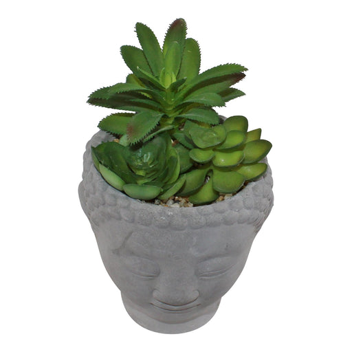 Trio of Faux Succulents in Buddha Head Cement Pot - Kozeenest