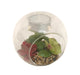 Succulent In Glass Terrarium with TeaLight Holder - Kozeenest