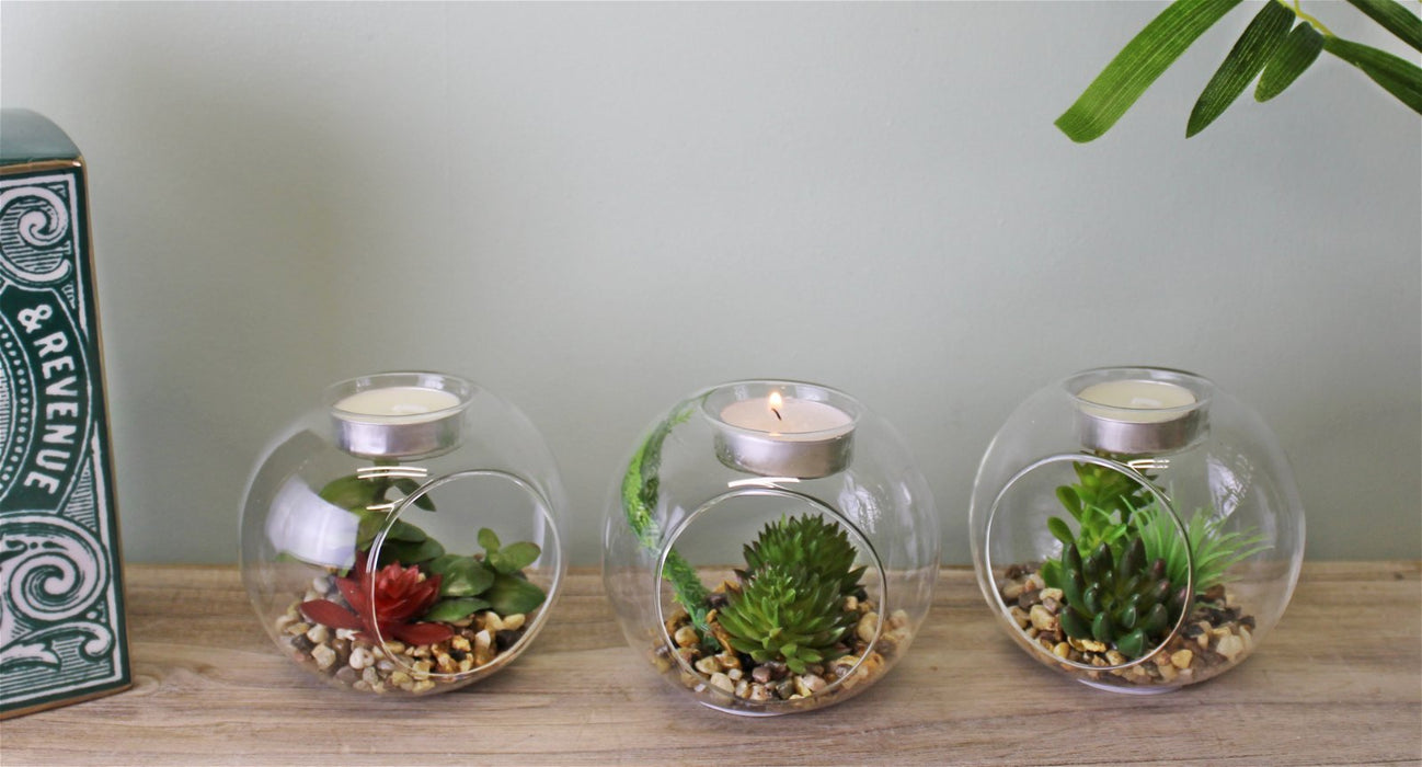 Succulent In Glass Terrarium with TeaLight Holder - Kozeenest