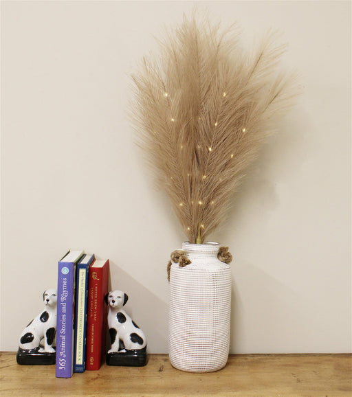 Set of Five Brown Led Pampas Grass Stems - Kozeenest