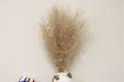 Set of Five Brown Led Pampas Grass Stems - Kozeenest