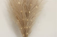 Set of Five Brown Led Pampas Grass Stems - Kozeenest