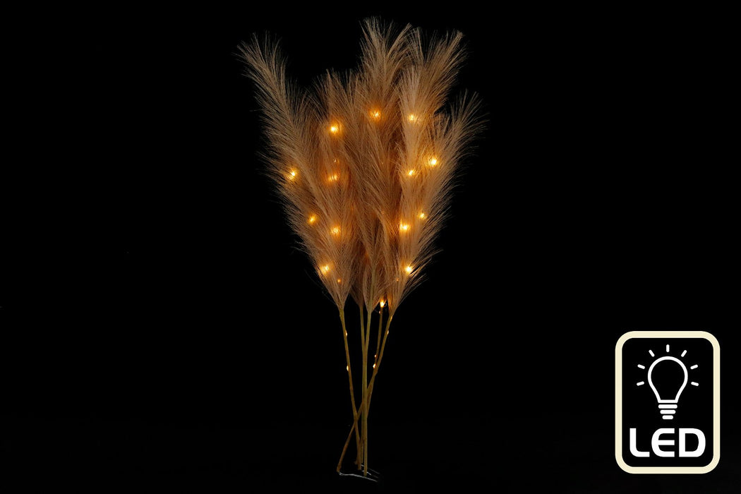 Set of Five Brown Led Pampas Grass Stems - Kozeenest