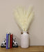 Set of Five Cream Led Pampas Grass Stems - Kozeenest