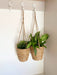 Set of Two Rush Grass Hanging Planters - Kozeenest