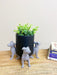 Set of Grey Dog Pot Risers - Kozeenest