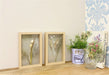 Pressed Flowers in Wooden Frames - Kozeenest