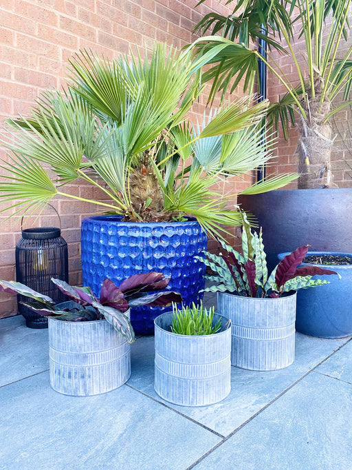 Set of Three Metal Garden Planters - Kozeenest