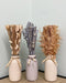 Set Of Three Dried Deco In Vases - Kozeenest