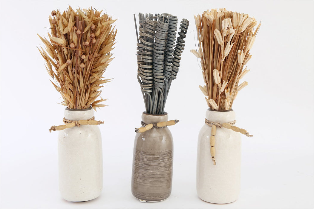 Set Of Three Dried Deco In Vases - Kozeenest