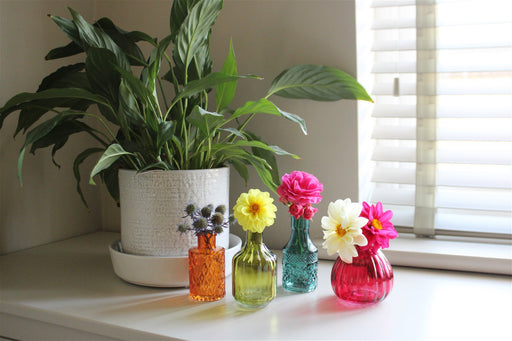 Set of Four Boho Posy Vase Bottles - Kozeenest