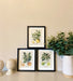 Set of Three Citrus Picture Frames - Kozeenest