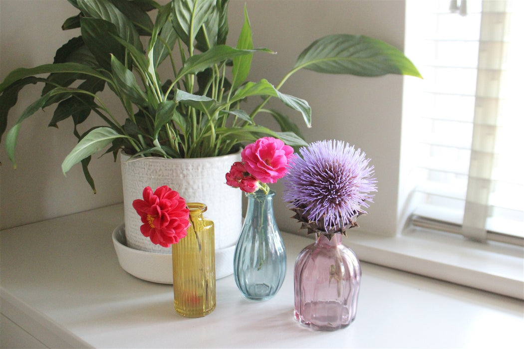 Set of Three Colour Glass Vases - Kozeenest