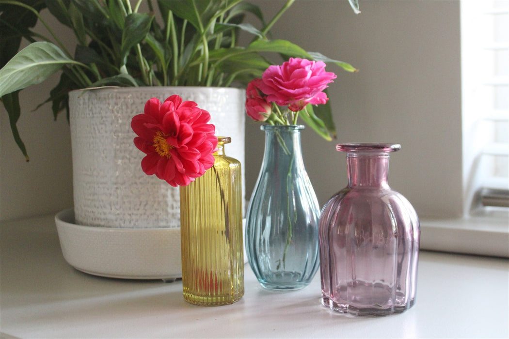 Set of Three Colour Glass Vases - Kozeenest