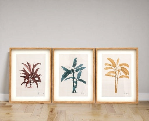 Tropical Palm Wall Art in Frames - Kozeenest