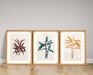 Tropical Palm Wall Art in Frames - Kozeenest