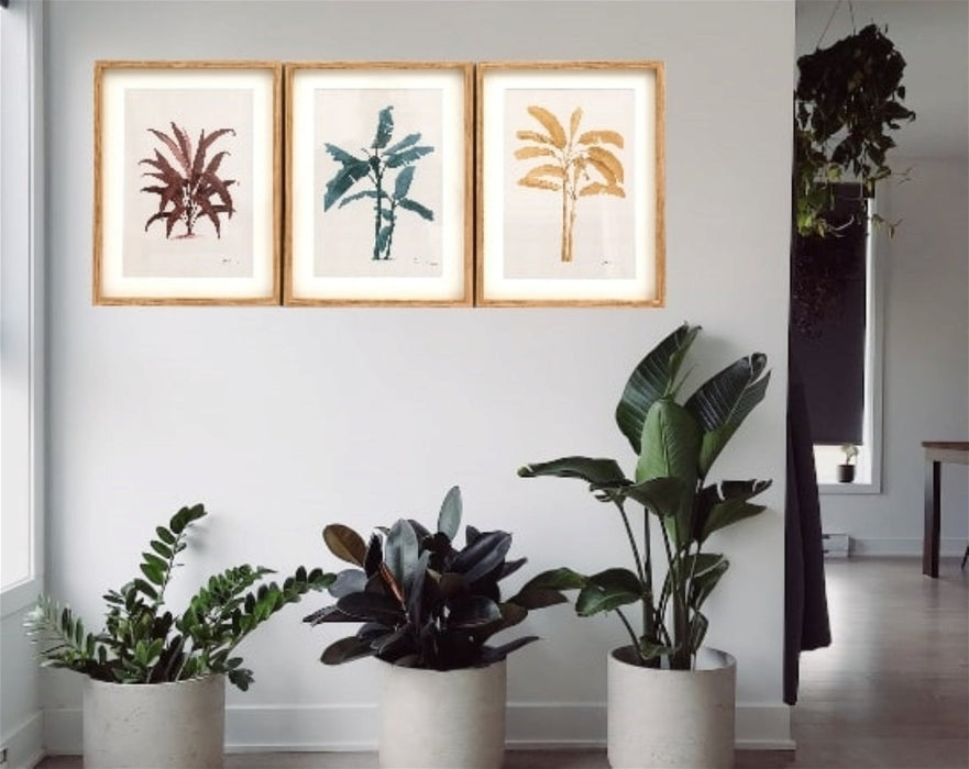 Tropical Palm Wall Art in Frames - Kozeenest