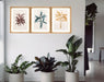 Tropical Palm Wall Art in Frames - Kozeenest