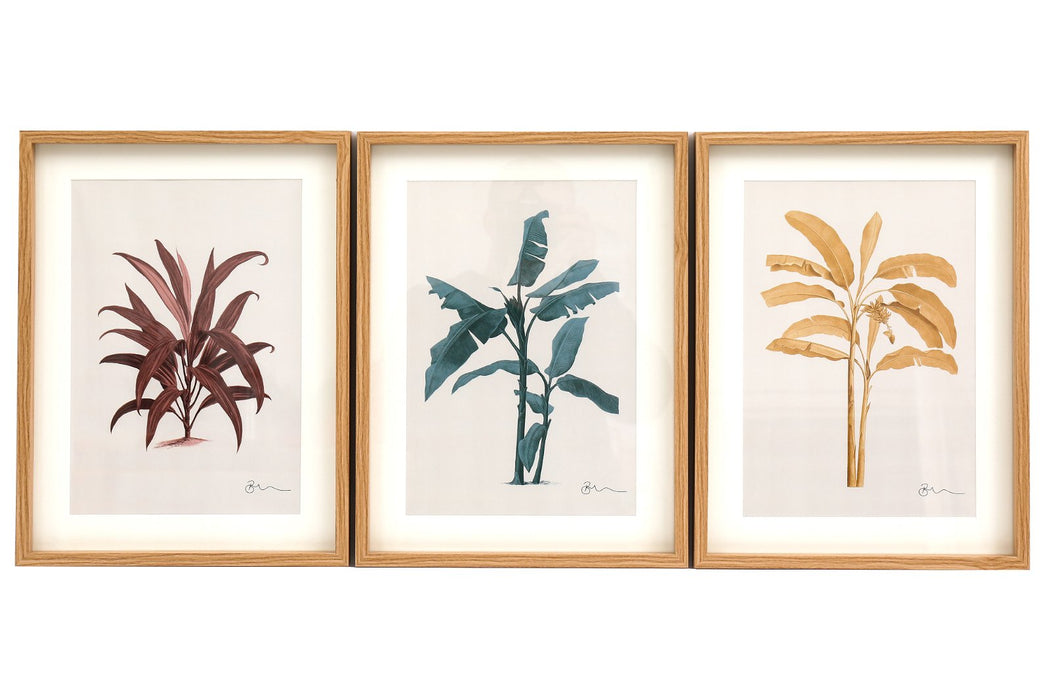 Tropical Palm Wall Art in Frames - Kozeenest