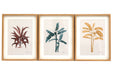 Tropical Palm Wall Art in Frames - Kozeenest