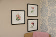 Set of Three Pink Rose Prints in Frames - Kozeenest