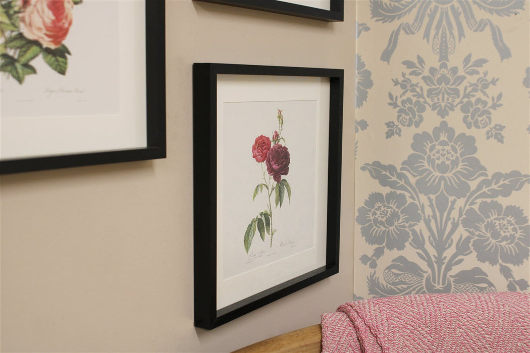 Set of Three Pink Rose Prints in Frames - Kozeenest