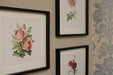 Set of Three Pink Rose Prints in Frames - Kozeenest