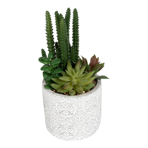 Succulents In Aztec Embossed Pot - Kozeenest