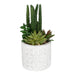 Succulents In Aztec Embossed Pot - Kozeenest