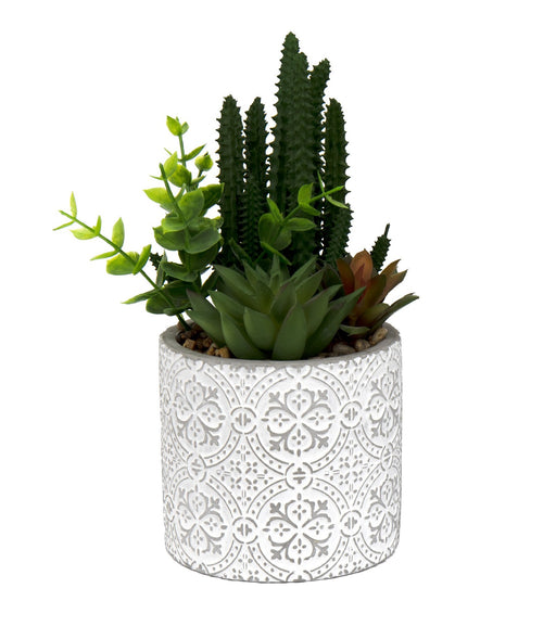 Succulents In Aztec Embossed Pot - Kozeenest