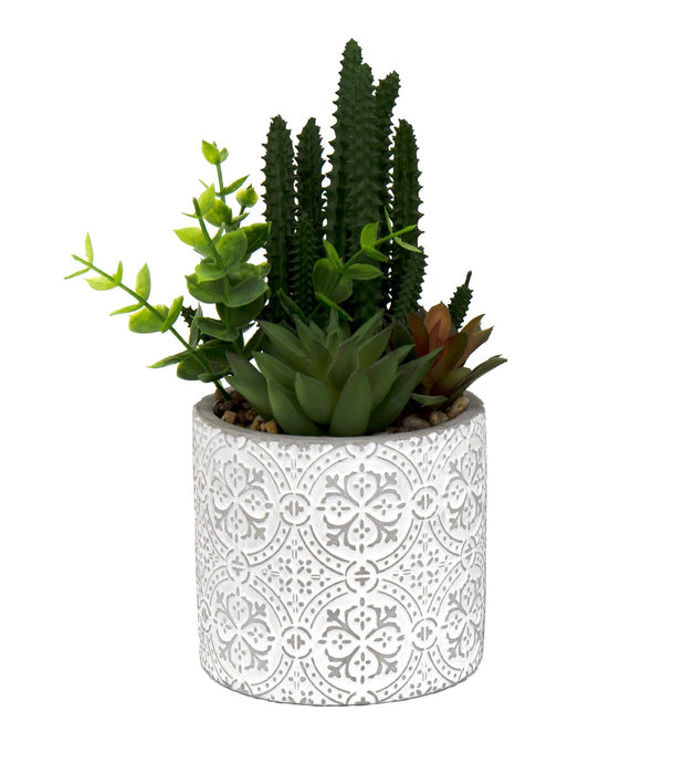 Succulents In Aztec Embossed Pot - Kozeenest