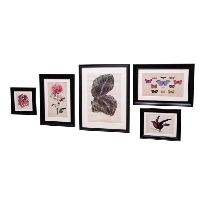 Set of 5 Boho Art in Black Frames - Kozeenest