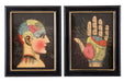 Set of 2 Phrenology Framed Prints 25cm - Kozeenest