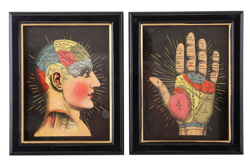 Set of 2 Phrenology Framed Prints 25cm - Kozeenest